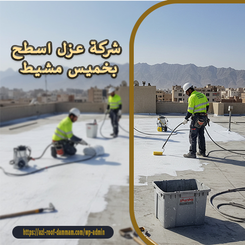 شركة عزل اسطح بخميس مشيط
