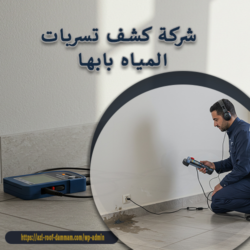 شركة كشف تسربات المياه بابها