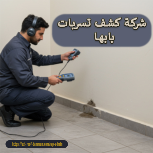 شركة كشف تسربات بابها